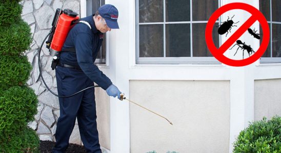 Seydişehir Akrep İlaçlama böcek ilaçlama ve haşere kontrolü — ilaclama-tr.com